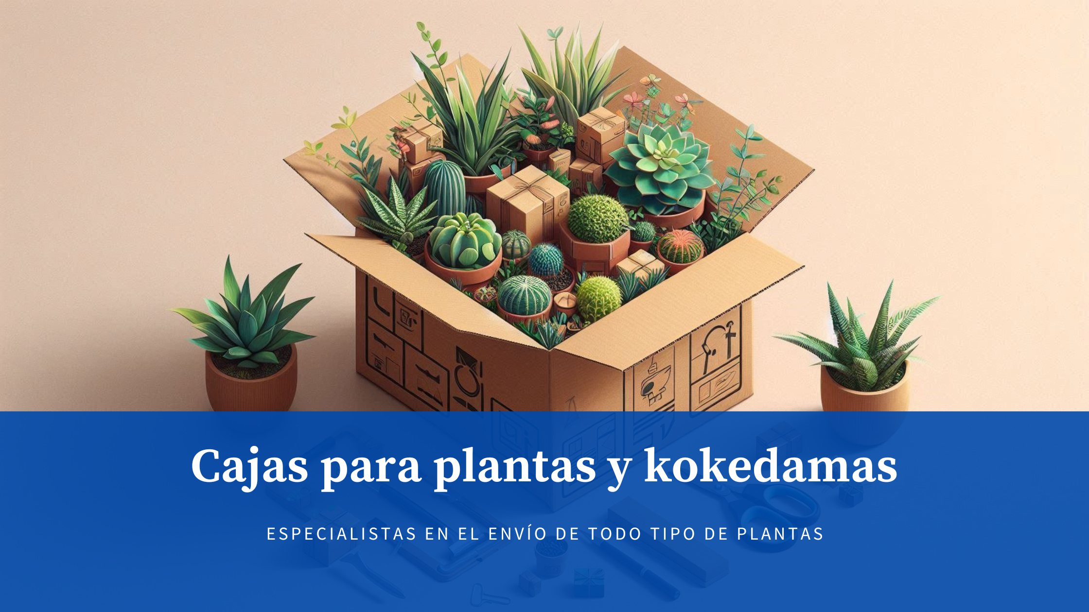 Cajas para plantas y kokedamas